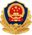 Public Security Icon
